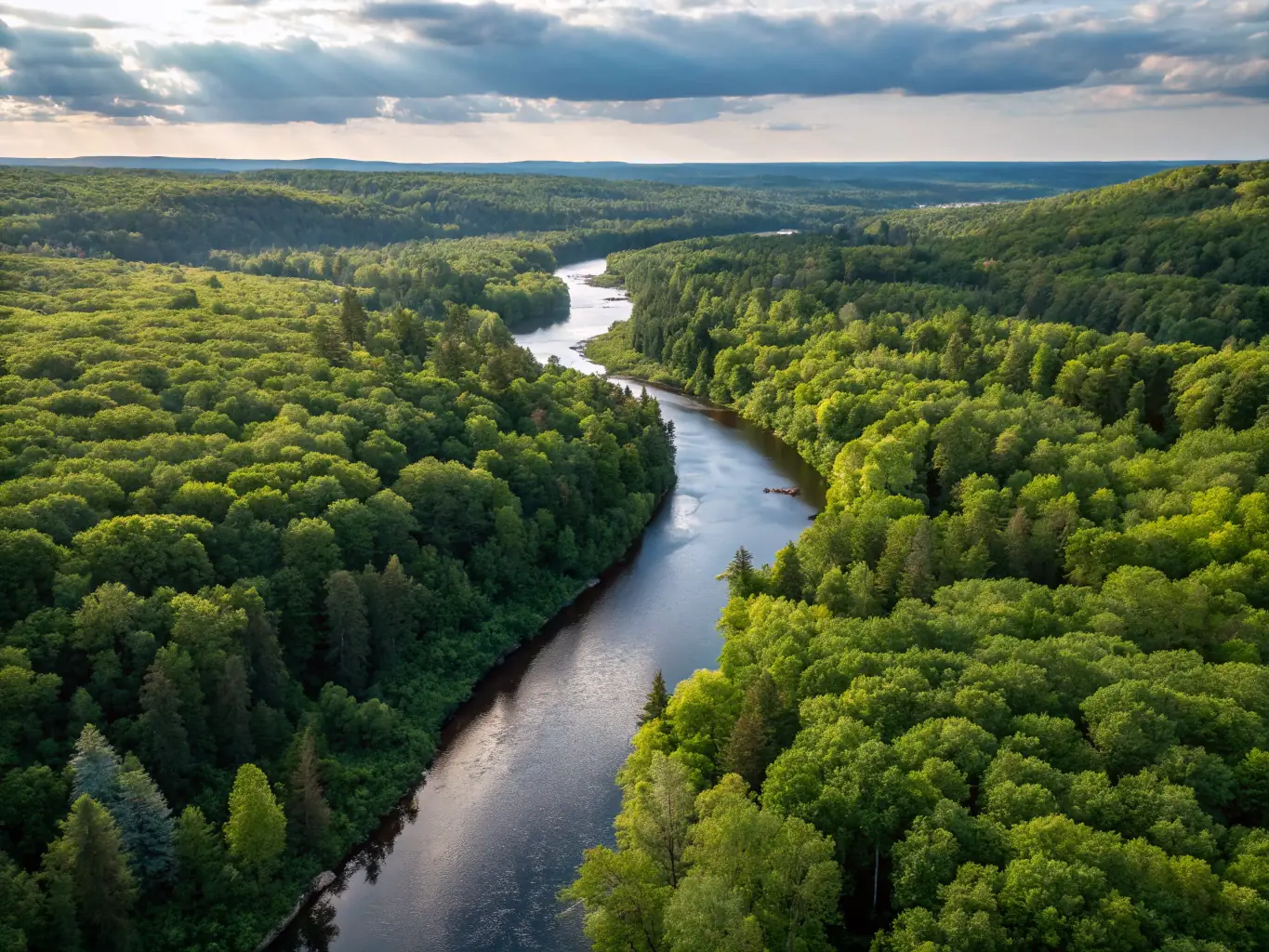 A clear, flowing river in Puisaye, surrounded by natural vegetation, illustrating the importance of water resource management and pollution prevention.